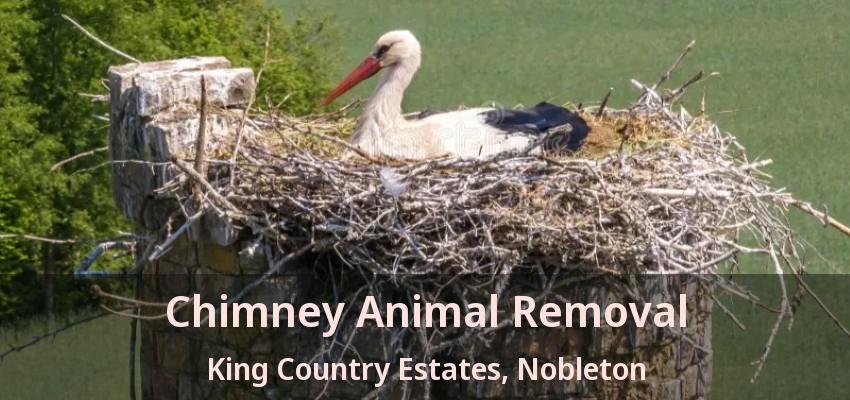 Chimney Animal Removal King Country Estates, Nobleton - ON