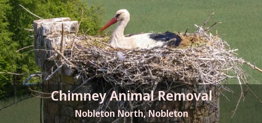Chimney Animal Removal Nobleton North, Nobleton - ON