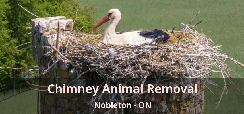 Chimney Animal Removal Nobleton - ON