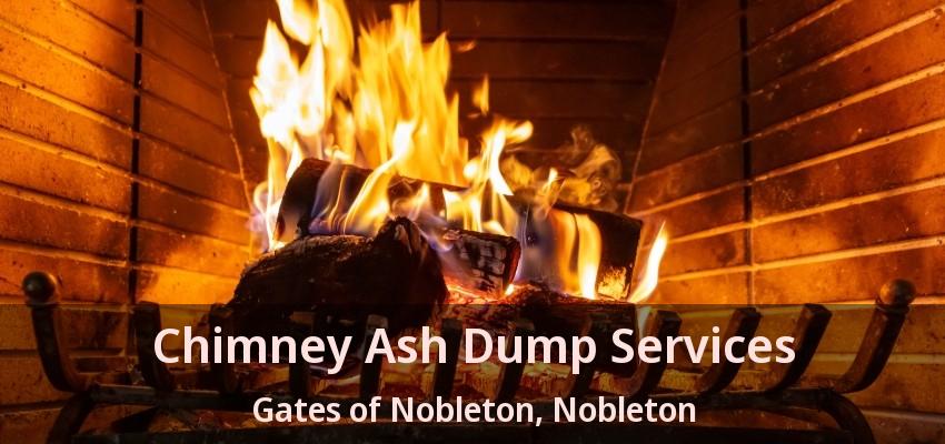 Chimney Ash Dump Services Gates of Nobleton, Nobleton - ON