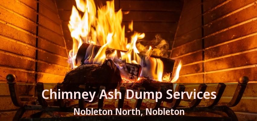 Chimney Ash Dump Services Nobleton North, Nobleton - ON