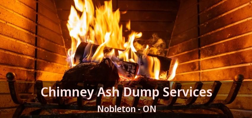 Chimney Ash Dump Services Nobleton - ON