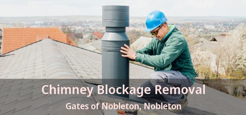 Chimney Blockage Removal Gates of Nobleton, Nobleton - ON