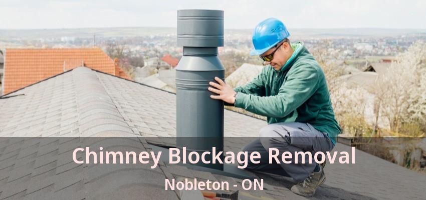 Chimney Blockage Removal Nobleton - ON