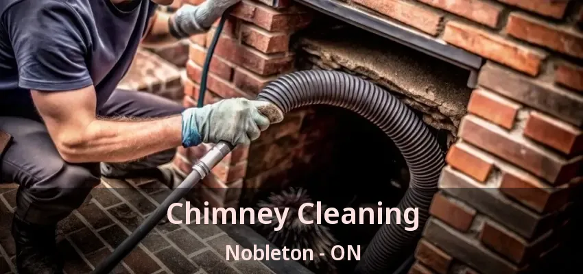 Chimney Cleaning Nobleton - ON