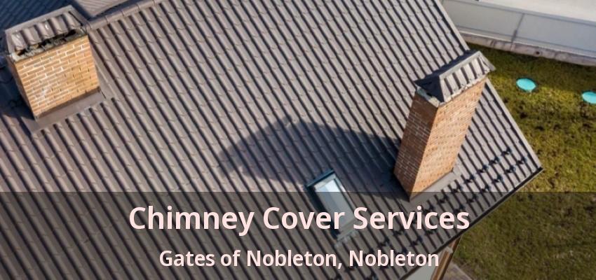 Chimney Cover Services Gates of Nobleton, Nobleton - ON