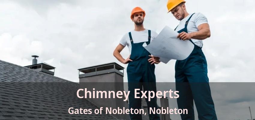 Chimney Experts Gates of Nobleton, Nobleton - ON