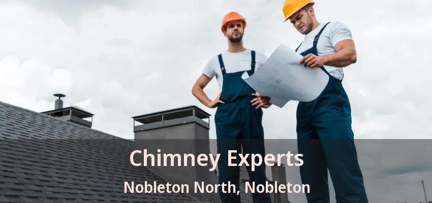 Chimney Experts Nobleton North, Nobleton - ON