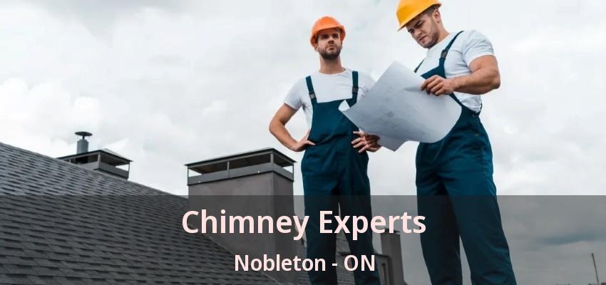 Chimney Experts Nobleton - ON