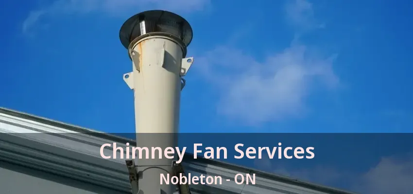 Chimney Fan Services Nobleton - ON