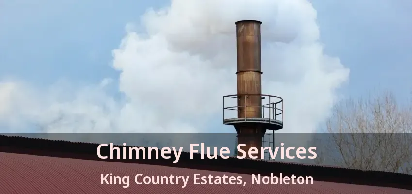 Chimney Flue Services King Country Estates, Nobleton - ON
