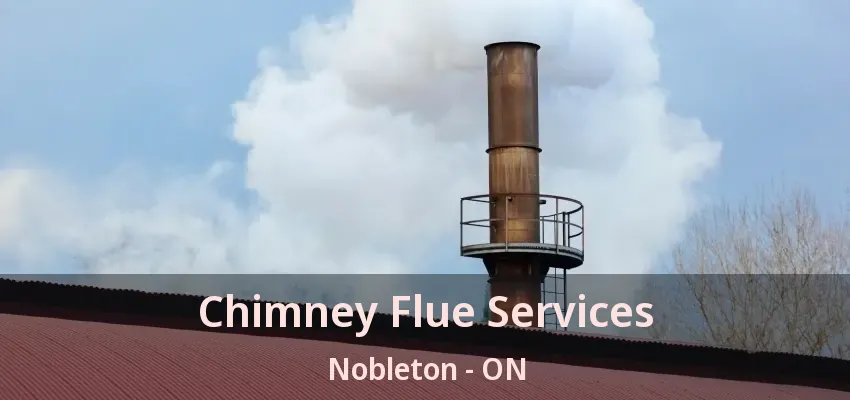 Chimney Flue Services Nobleton - ON