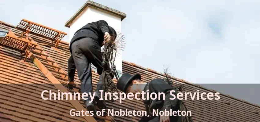 Chimney Inspection Services Gates of Nobleton, Nobleton - ON