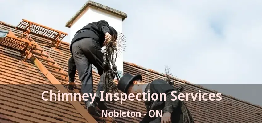 Chimney Inspection Services Nobleton - ON