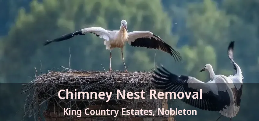 Chimney Nest Removal King Country Estates, Nobleton - ON
