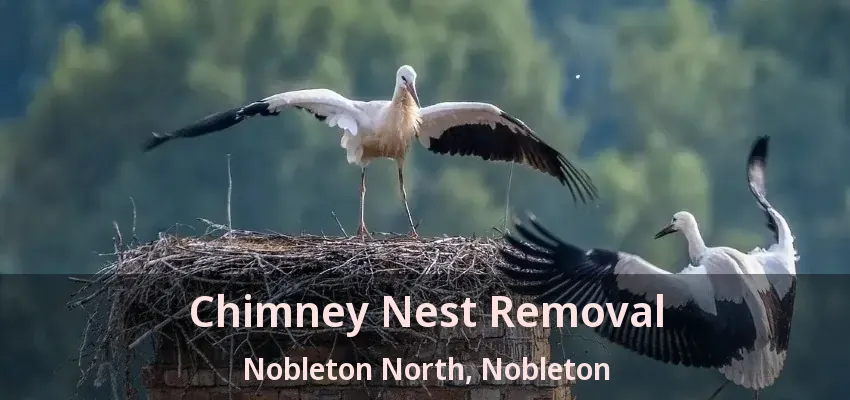 Chimney Nest Removal Nobleton North, Nobleton - ON