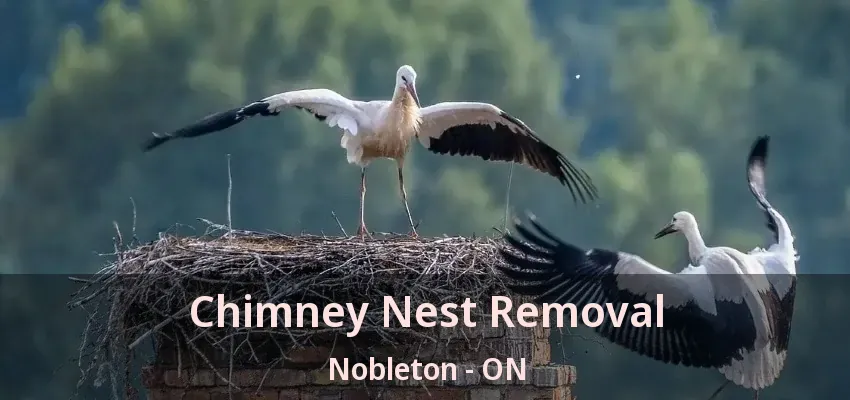 Chimney Nest Removal Nobleton - ON