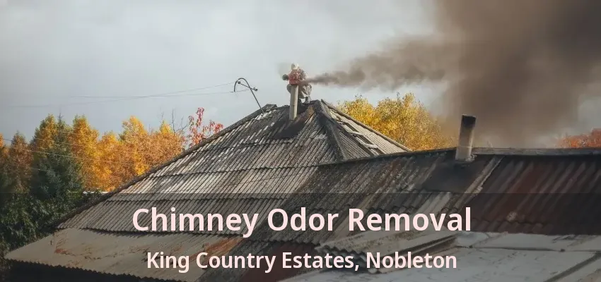 Chimney Odor Removal King Country Estates, Nobleton - ON