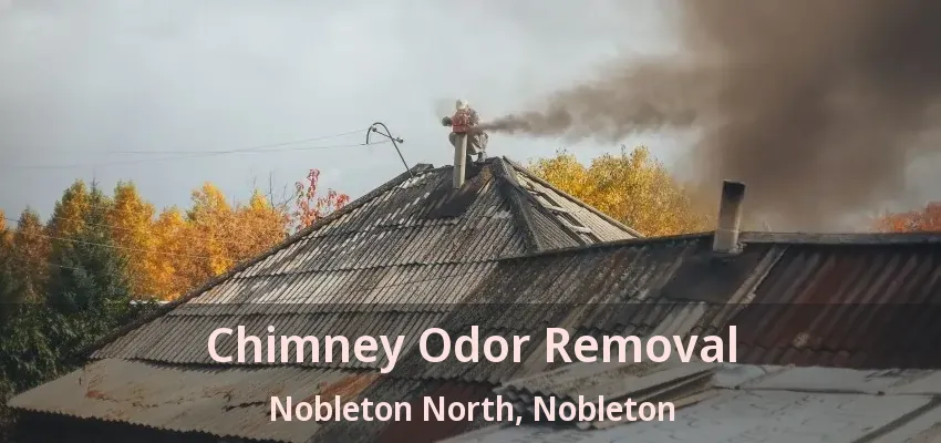 Chimney Odor Removal Nobleton North, Nobleton - ON