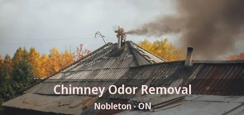 Chimney Odor Removal Nobleton - ON