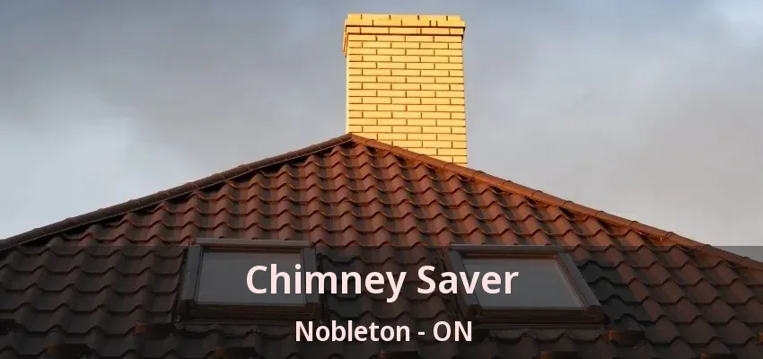 Chimney Saver Nobleton - ON