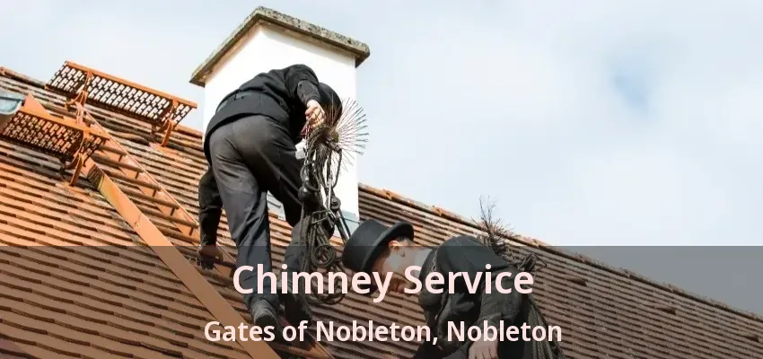 Chimney Service Gates of Nobleton, Nobleton - ON
