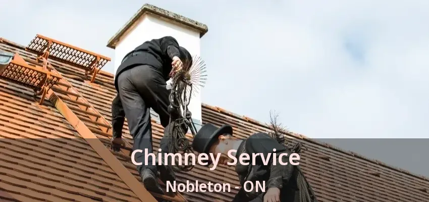 Chimney Service Nobleton - ON