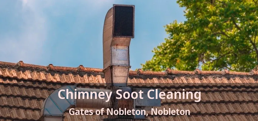 Chimney Soot Cleaning Gates of Nobleton, Nobleton - ON