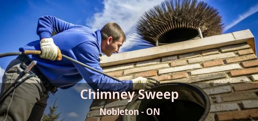 Chimney Sweep Nobleton - ON