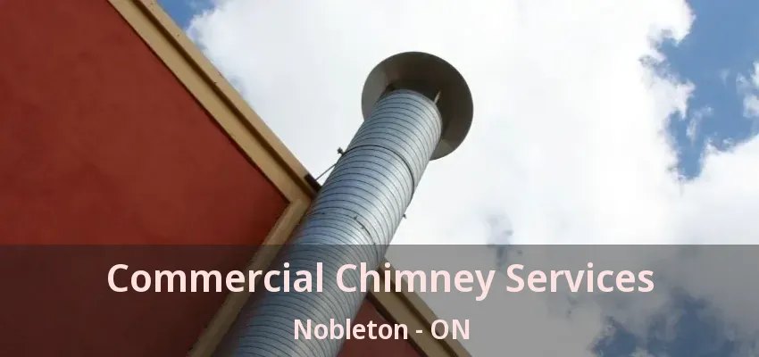 Commercial Chimney Services Nobleton - ON