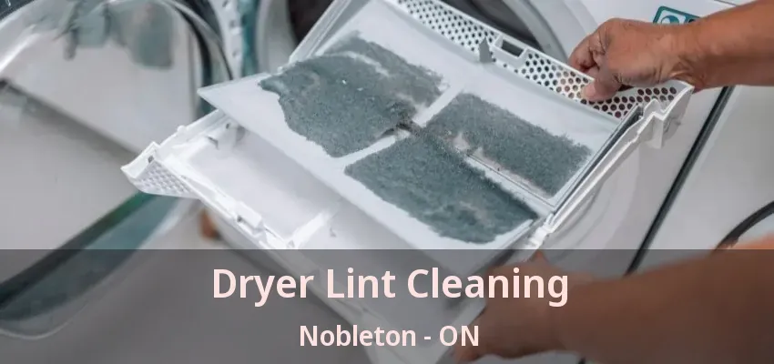 Dryer Lint Cleaning Nobleton - ON