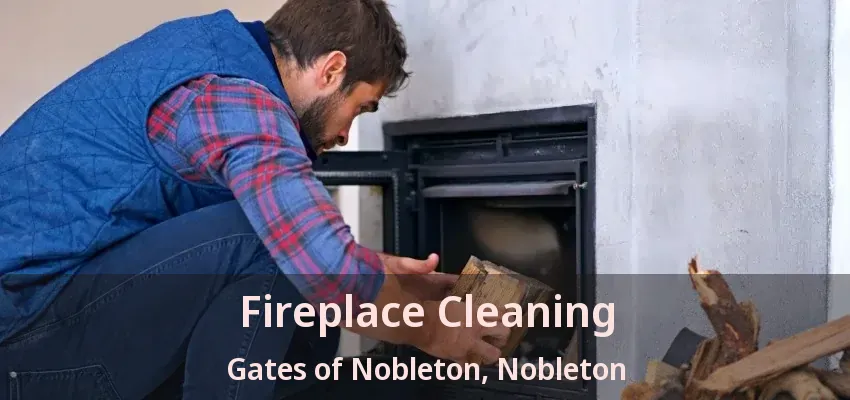 Fireplace Cleaning Gates of Nobleton, Nobleton - ON