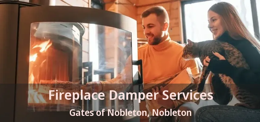 Fireplace Damper Services Gates of Nobleton, Nobleton - ON