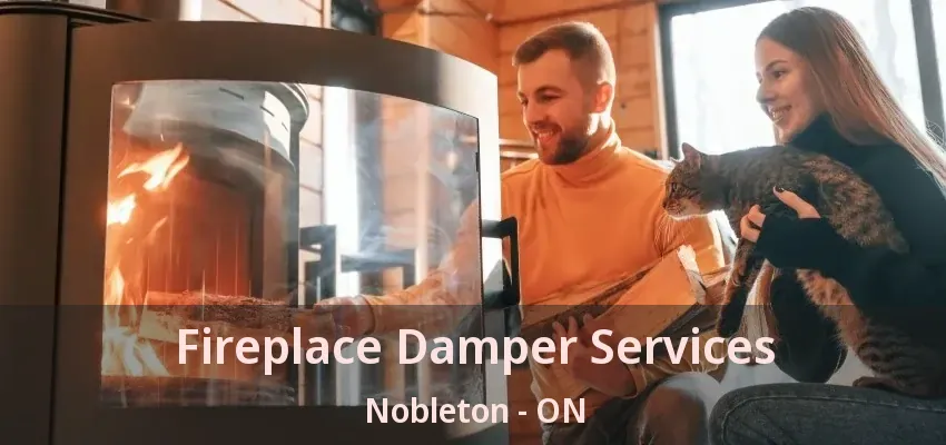 Fireplace Damper Services Nobleton - ON