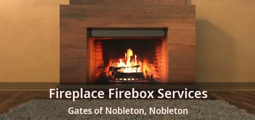 Fireplace Firebox Services Gates of Nobleton, Nobleton - ON