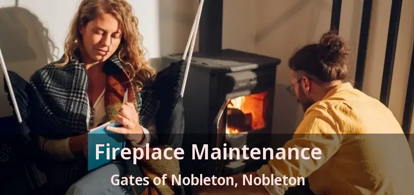 Fireplace Maintenance Gates of Nobleton, Nobleton - ON