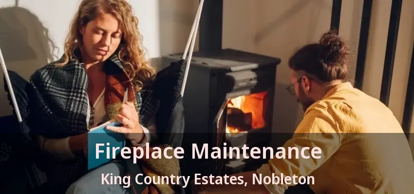 Fireplace Maintenance King Country Estates, Nobleton - ON