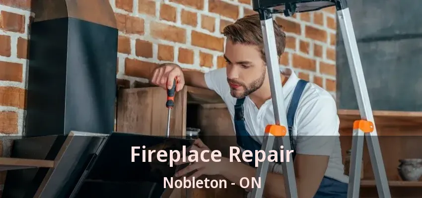 Fireplace Repair Nobleton - ON