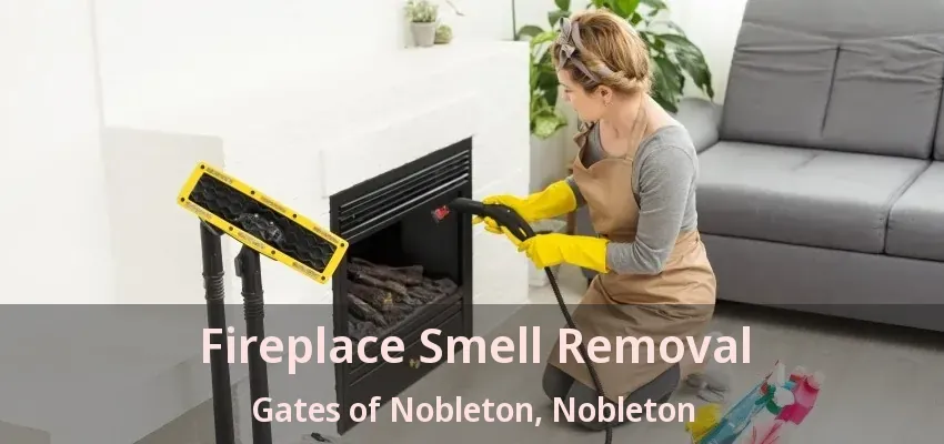 Fireplace Smell Removal Gates of Nobleton, Nobleton - ON