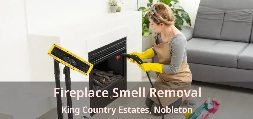 Fireplace Smell Removal King Country Estates, Nobleton - ON