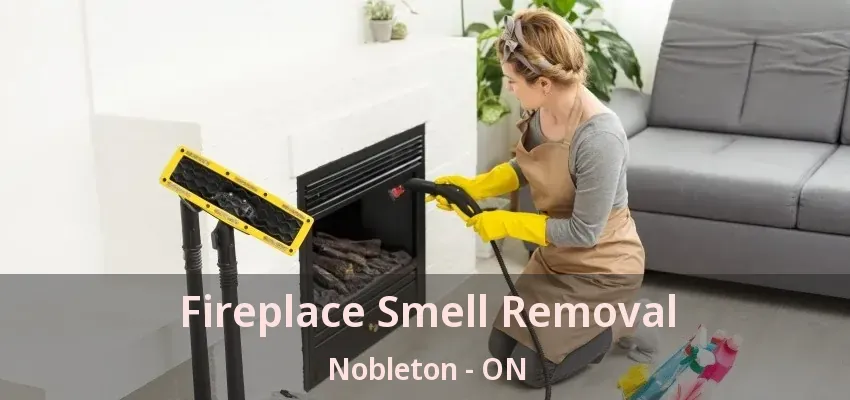 Fireplace Smell Removal Nobleton - ON