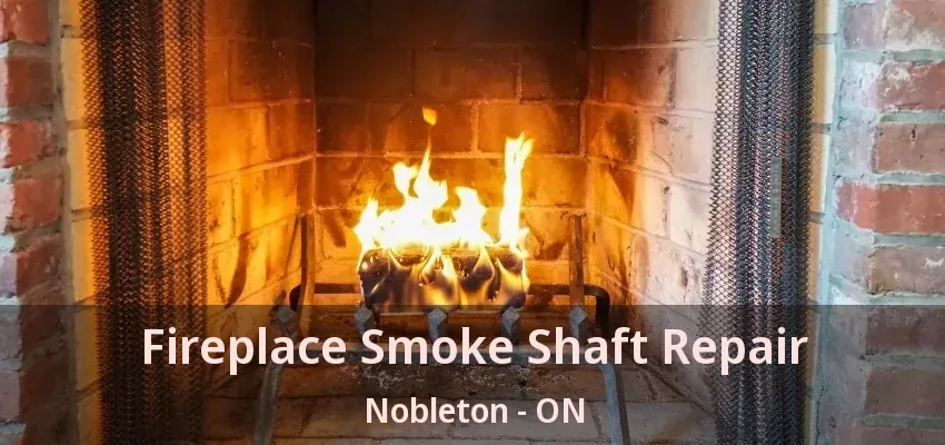 Fireplace Smoke Shaft Repair Nobleton - ON