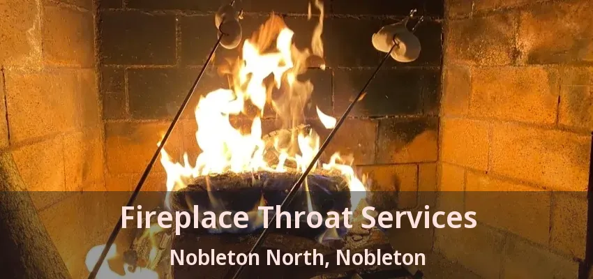 Fireplace Throat Services Nobleton North, Nobleton - ON