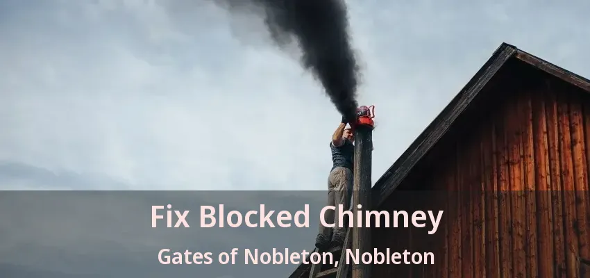 Fix Blocked Chimney Gates of Nobleton, Nobleton - ON