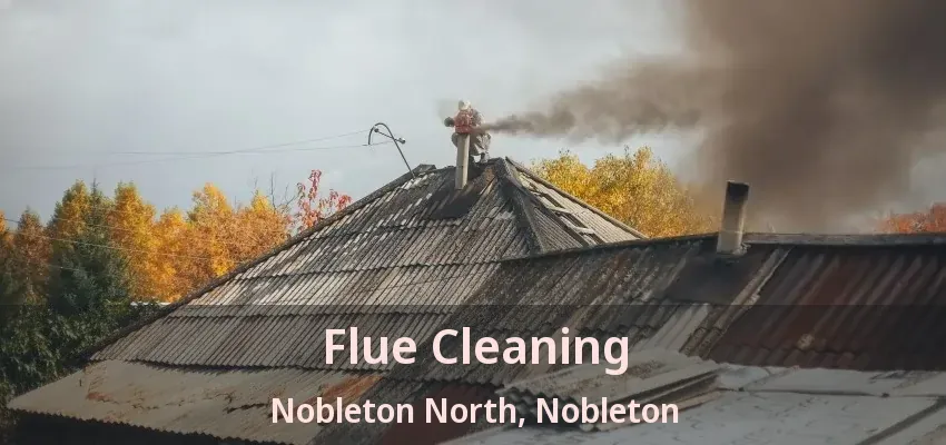 Flue Cleaning Nobleton North, Nobleton - ON