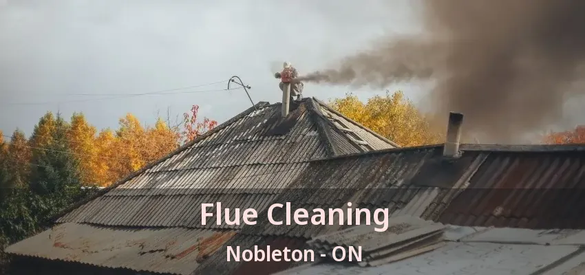 Flue Cleaning Nobleton - ON