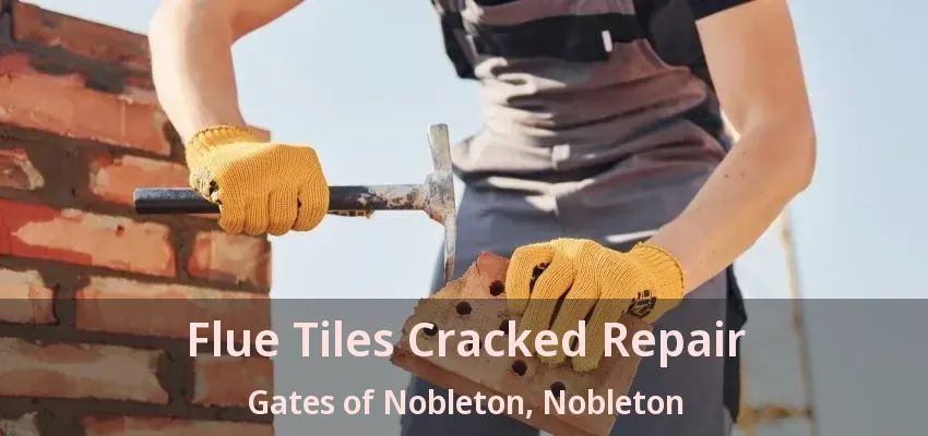 Flue Tiles Cracked Repair Gates of Nobleton, Nobleton - ON
