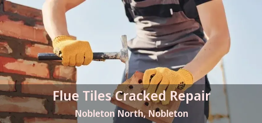 Flue Tiles Cracked Repair Nobleton North, Nobleton - ON