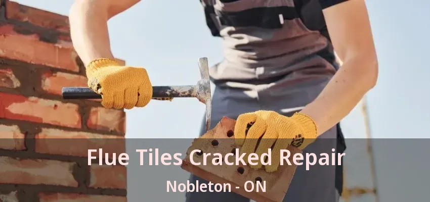 Flue Tiles Cracked Repair Nobleton - ON