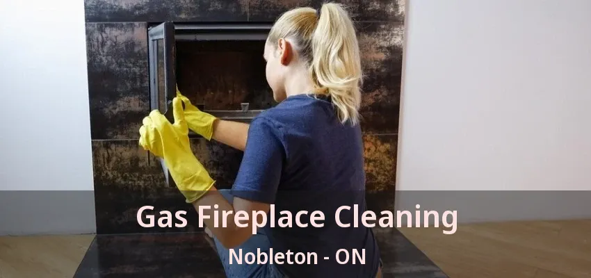 Gas Fireplace Cleaning Nobleton - ON